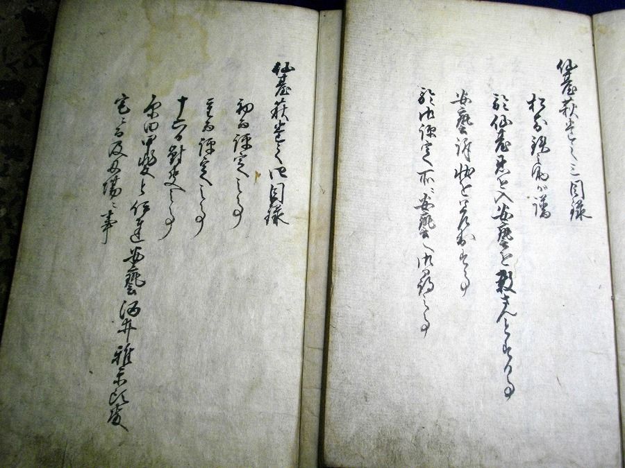 イメージ 5