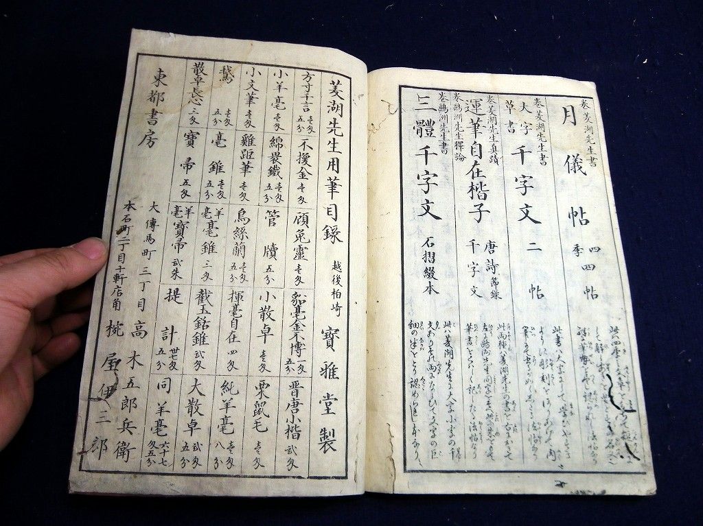 イメージ 9