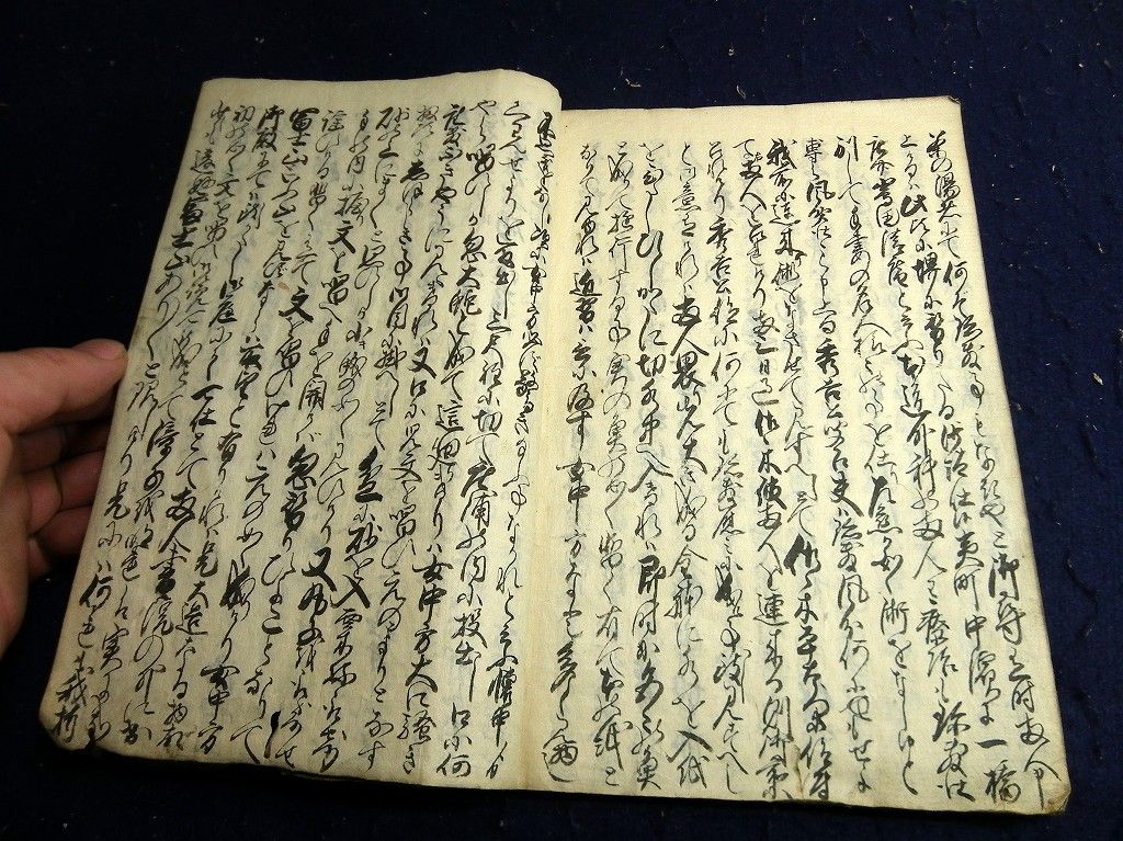イメージ 7