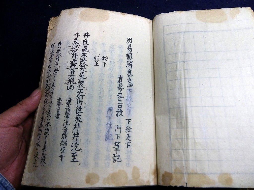 イメージ 7