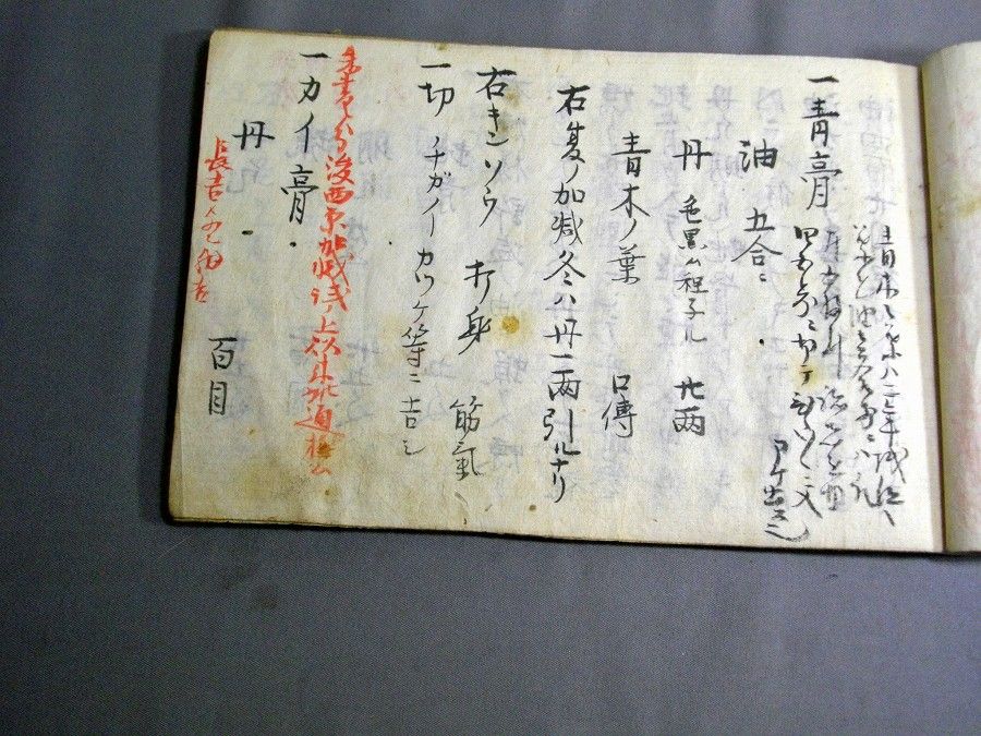 イメージ 5
