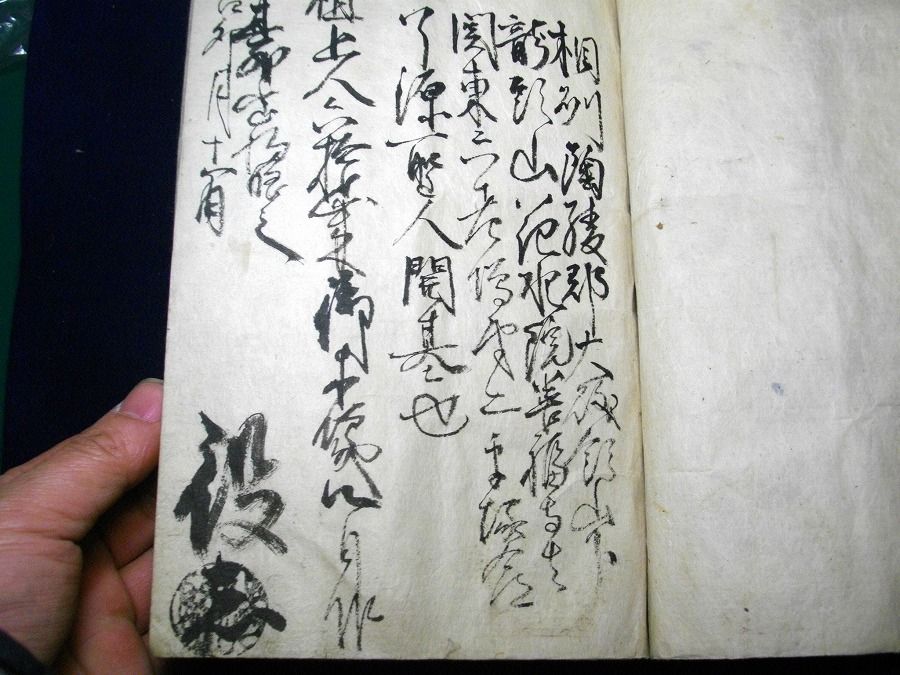 イメージ 8