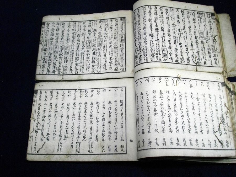 イメージ 5