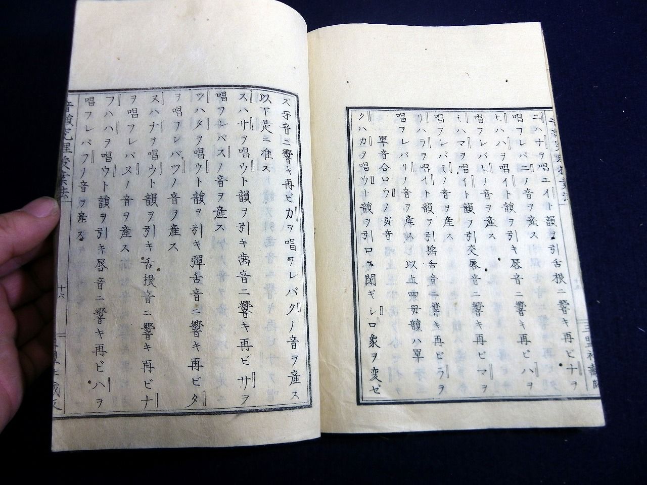 イメージ 7