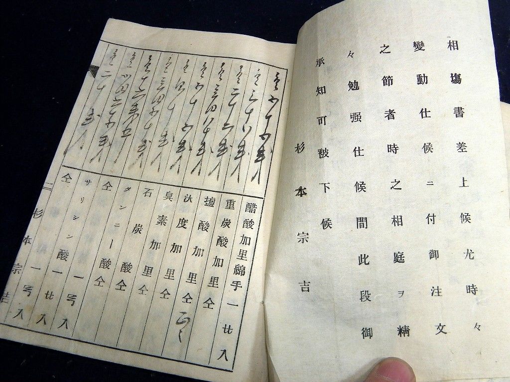 イメージ 3