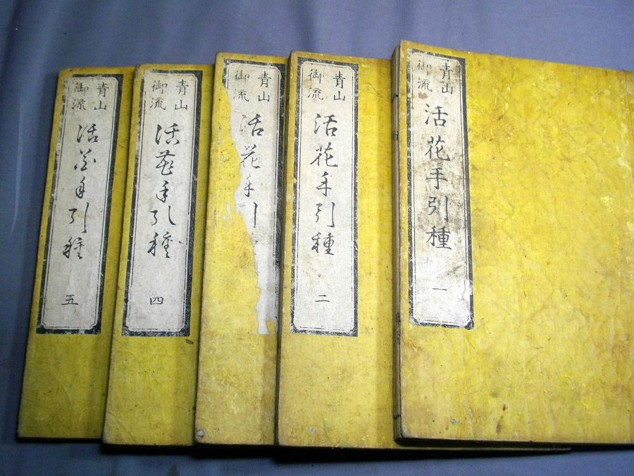 イメージ 2