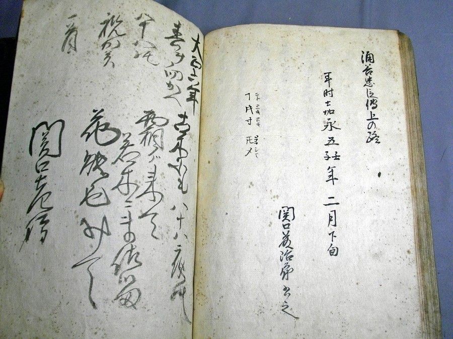 イメージ 4