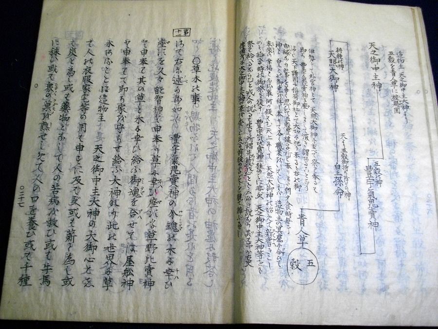 イメージ 8