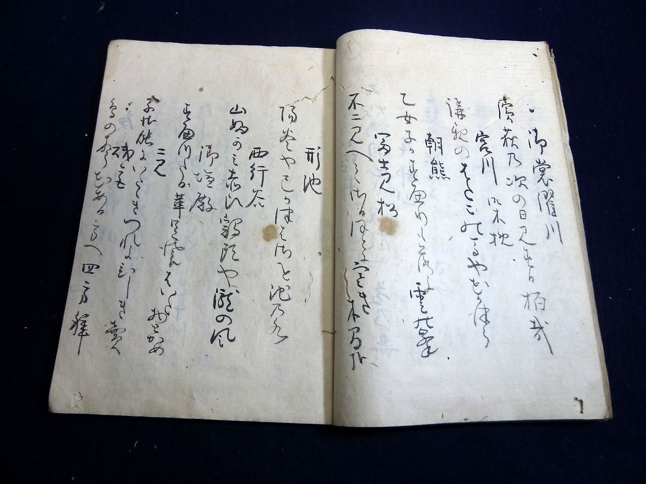 イメージ 5