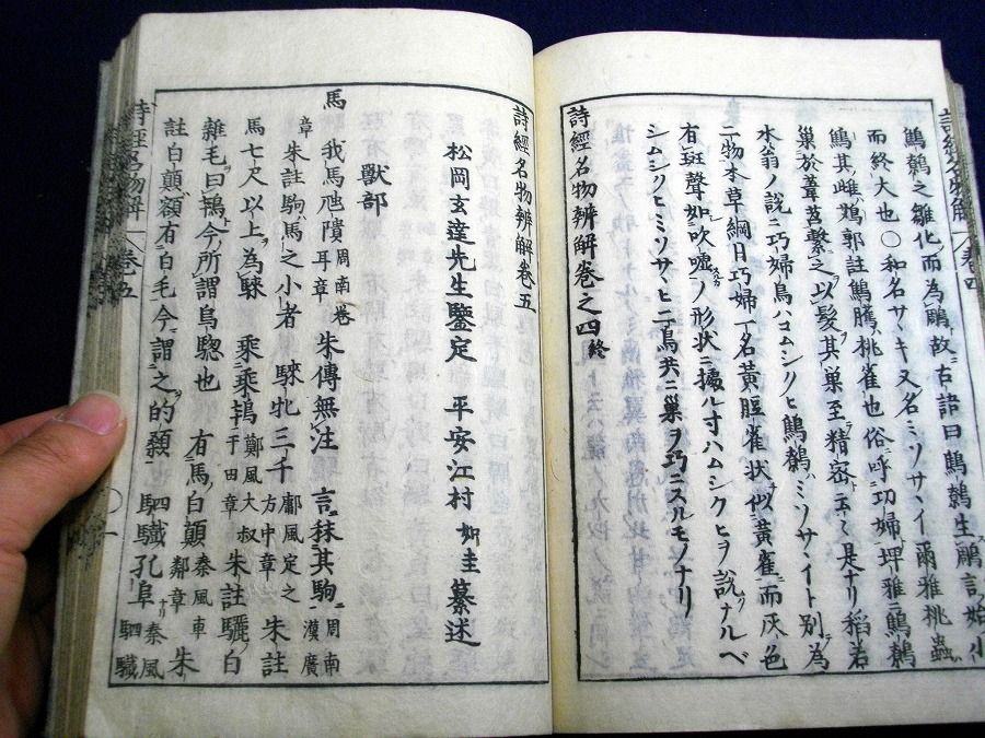 イメージ 7