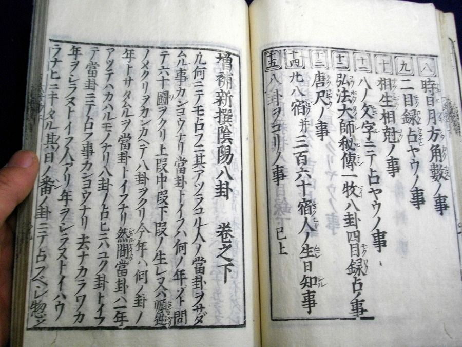 イメージ 6