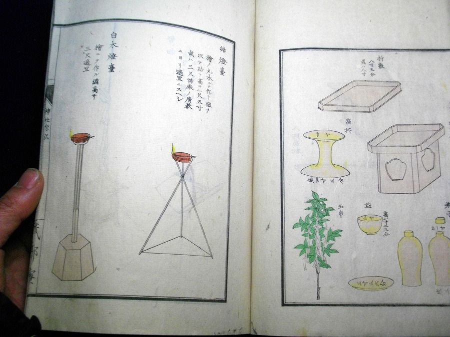 イメージ 8