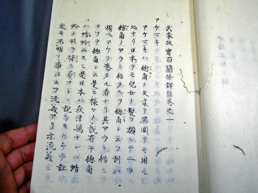イメージ 3