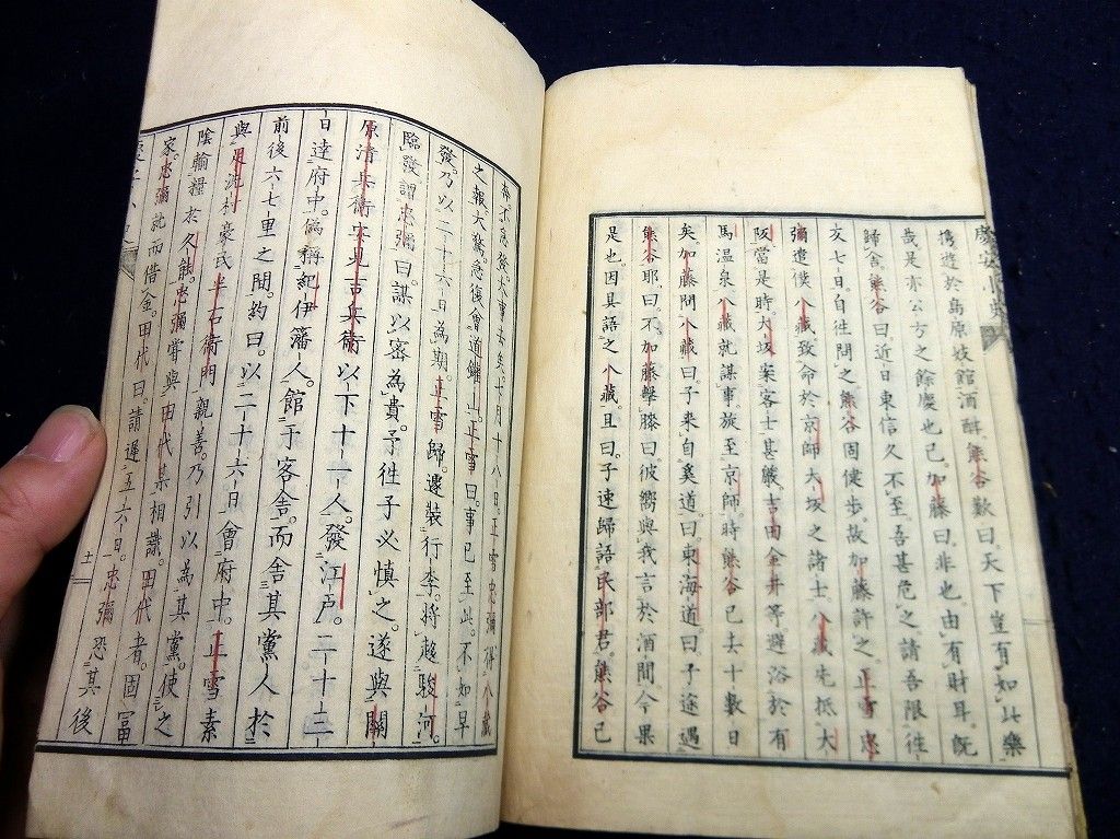 イメージ 7