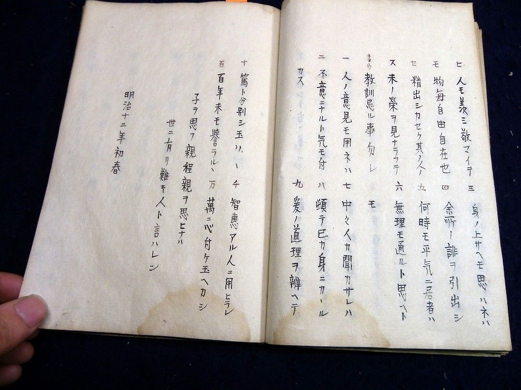 イメージ 8