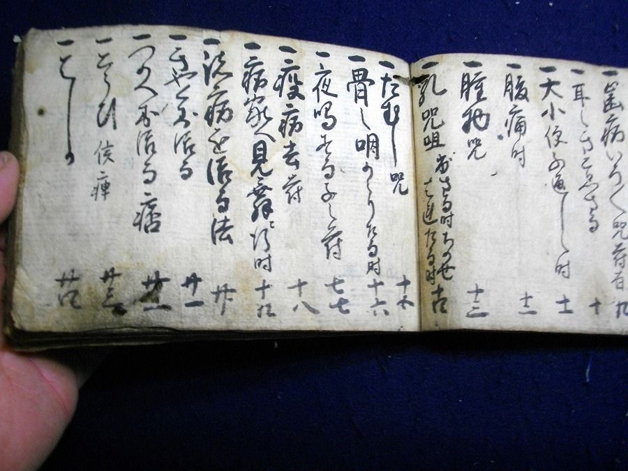 イメージ 3