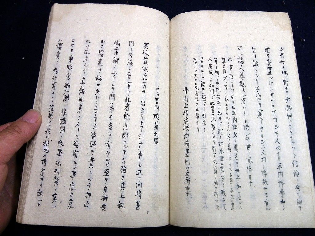 イメージ 7