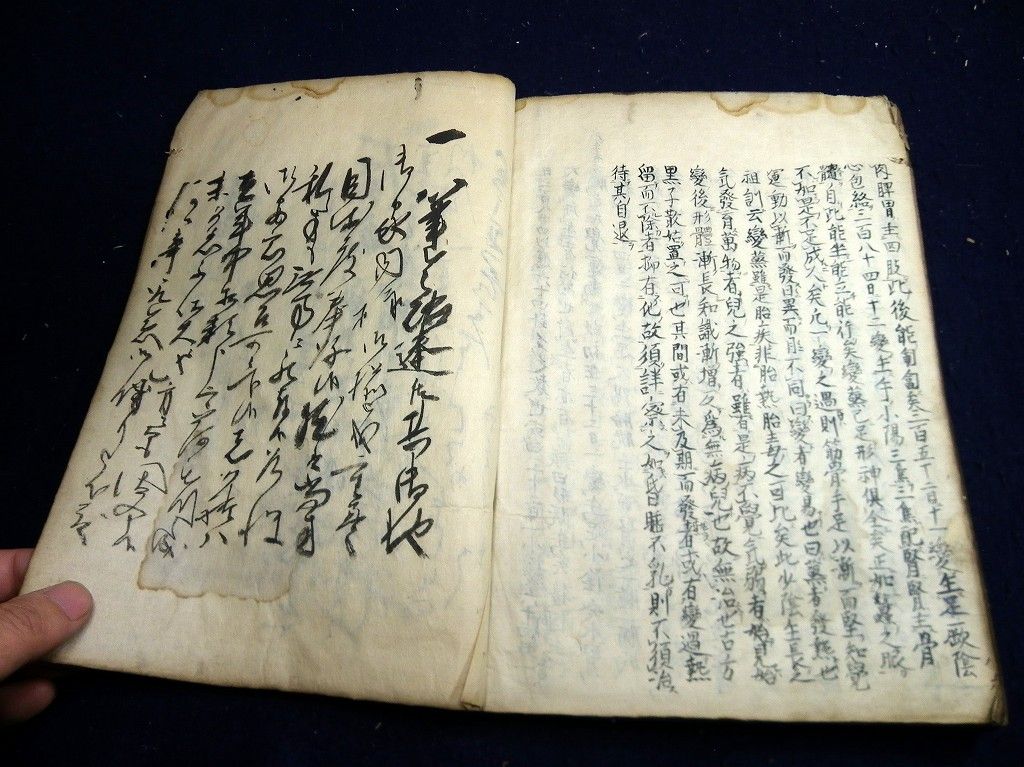 イメージ 11