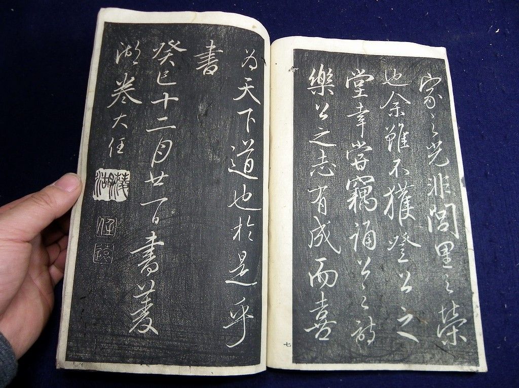 イメージ 6