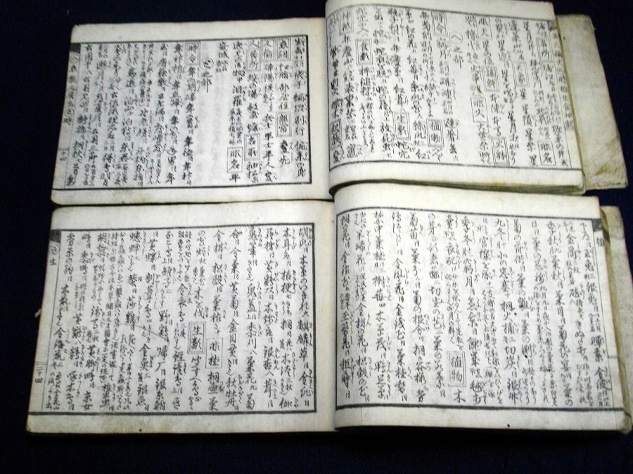 イメージ 3