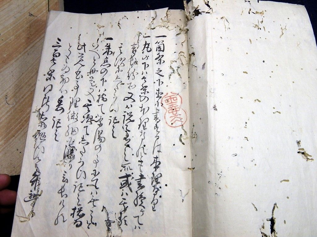 イメージ 2