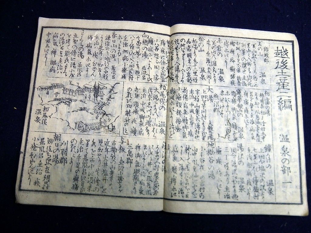 イメージ 9