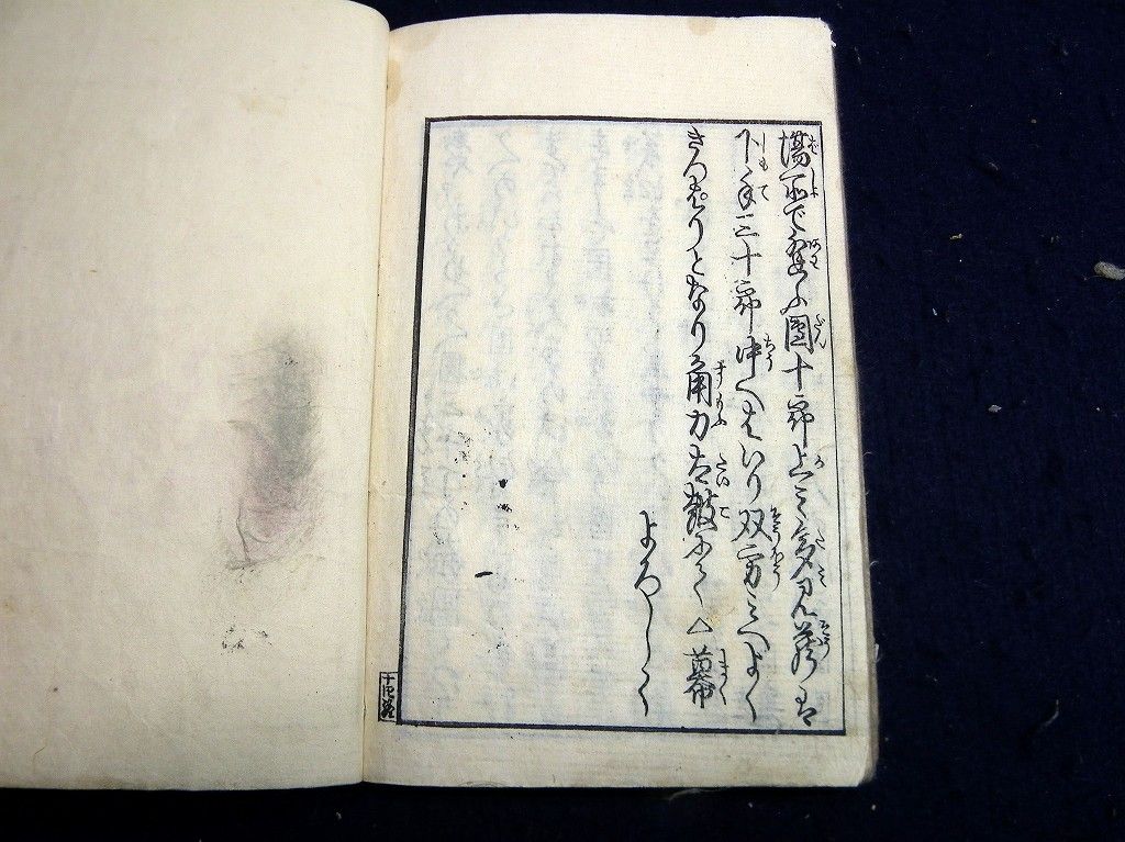 イメージ 11