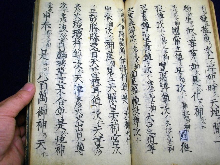 イメージ 5