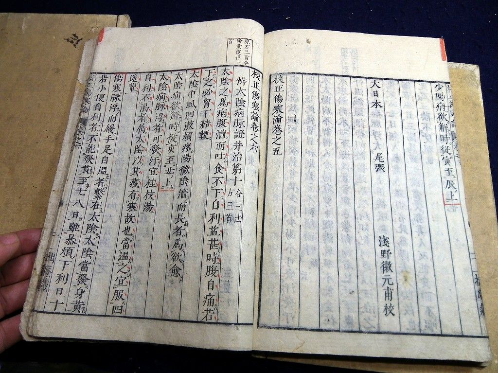 イメージ 8