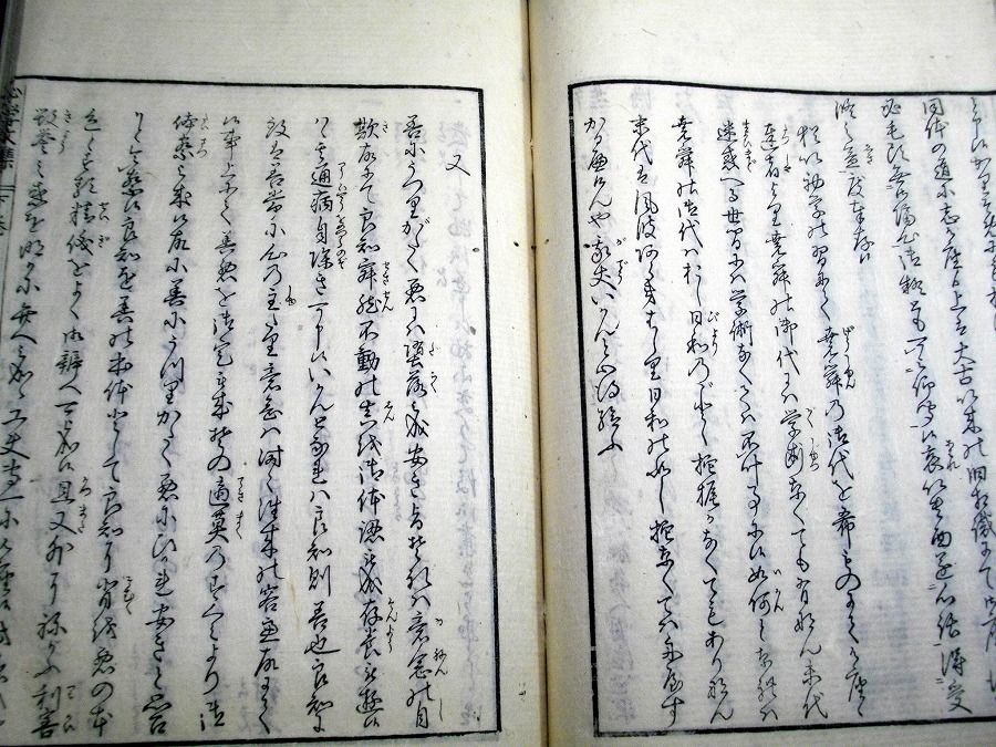 イメージ 7