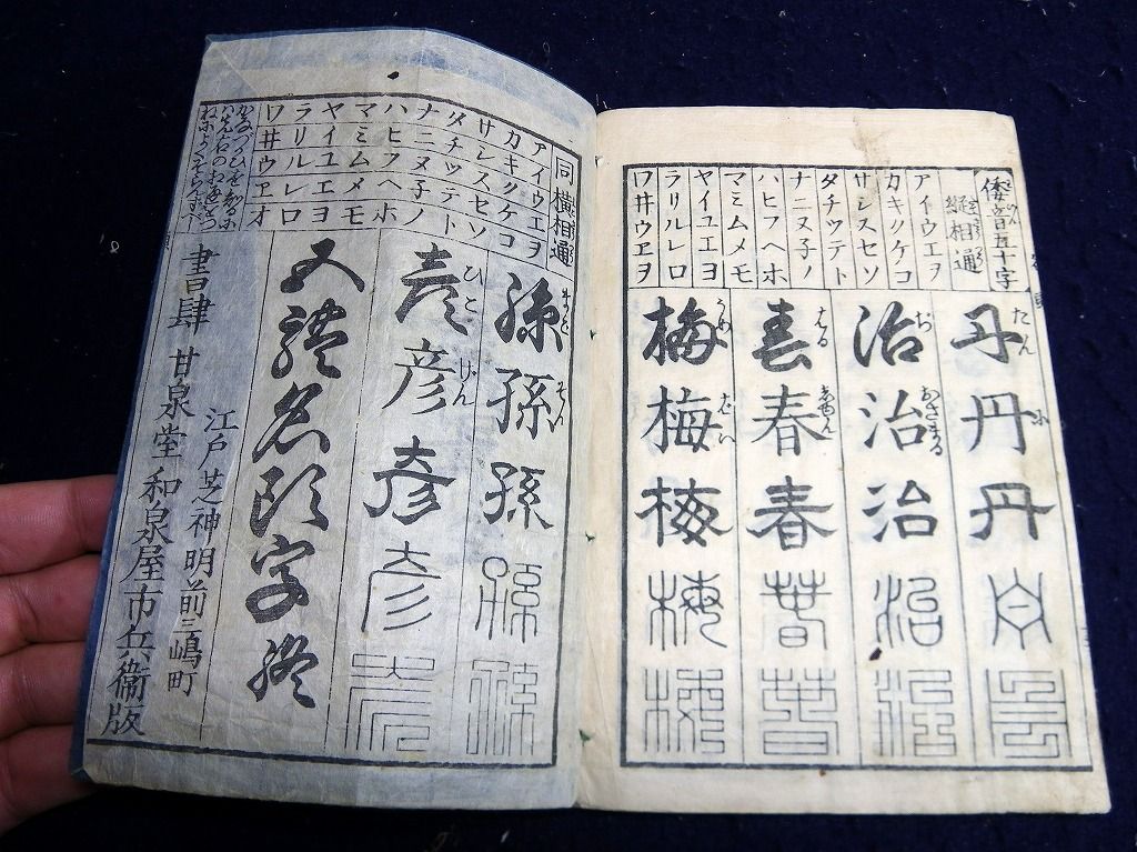 イメージ 7