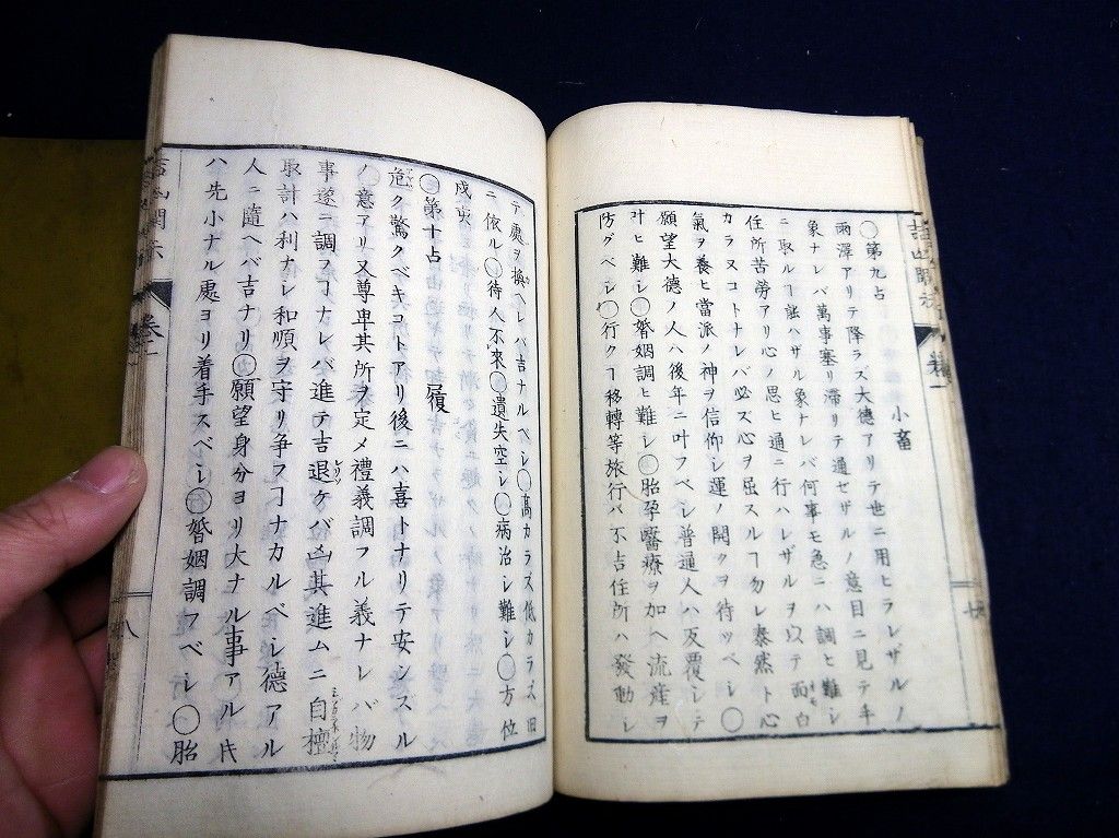 イメージ 4
