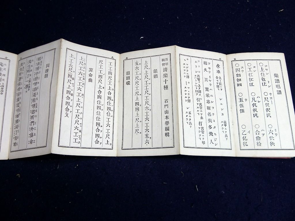 イメージ 6