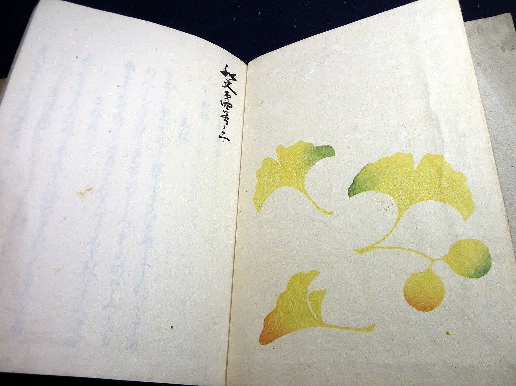 イメージ 6