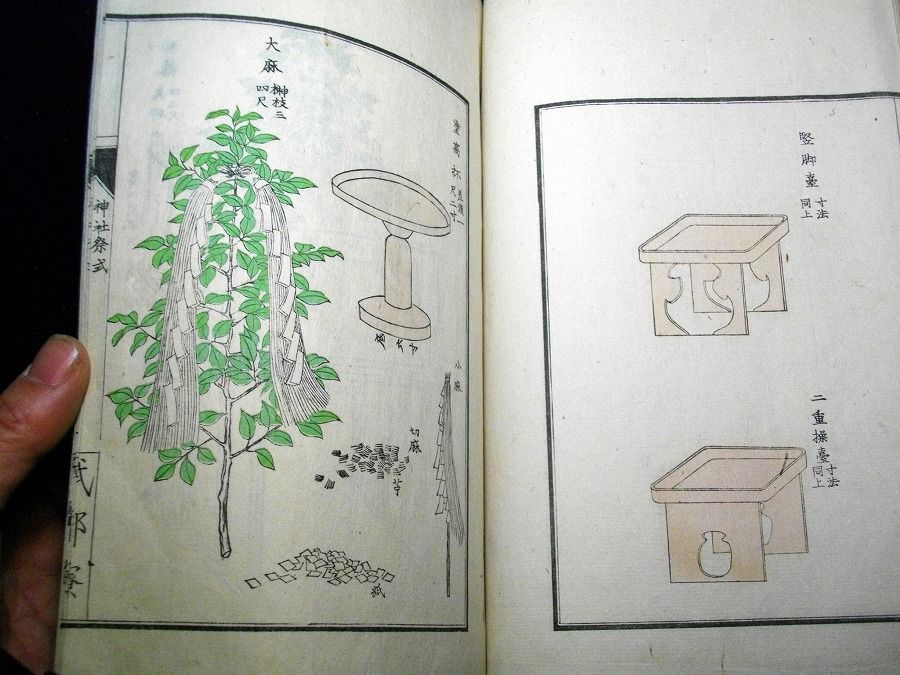 イメージ 9