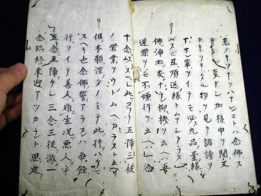 イメージ 5