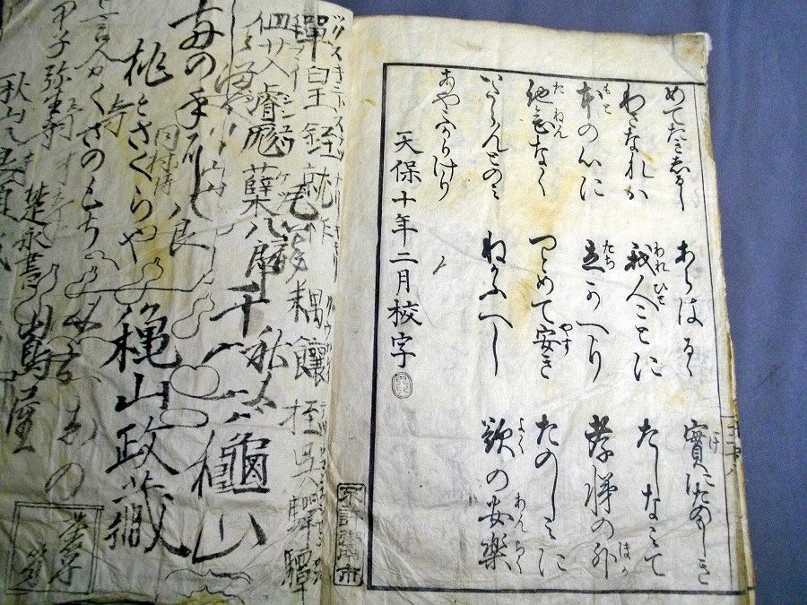 イメージ 6