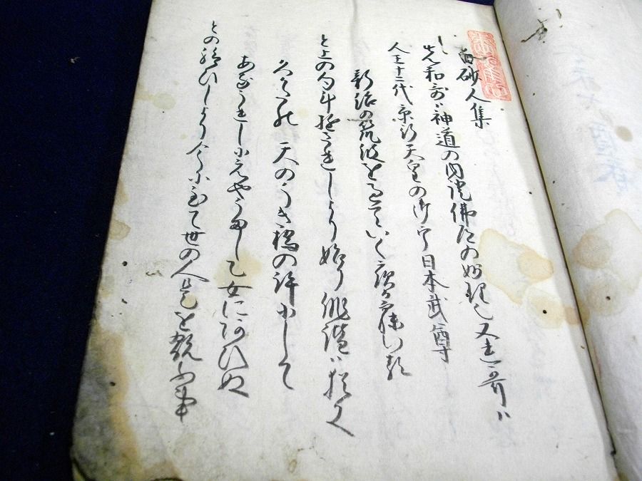 イメージ 3