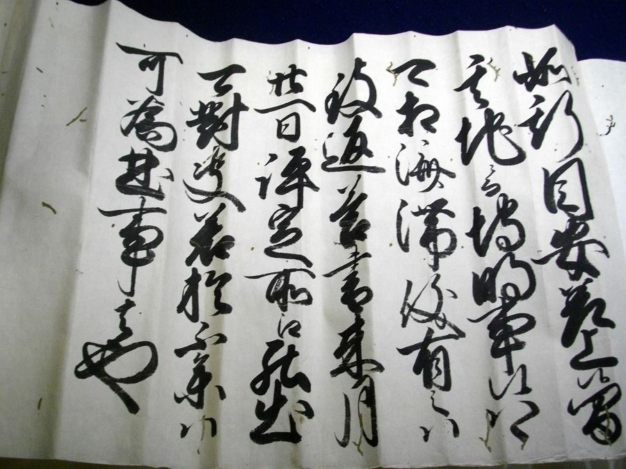 イメージ 5