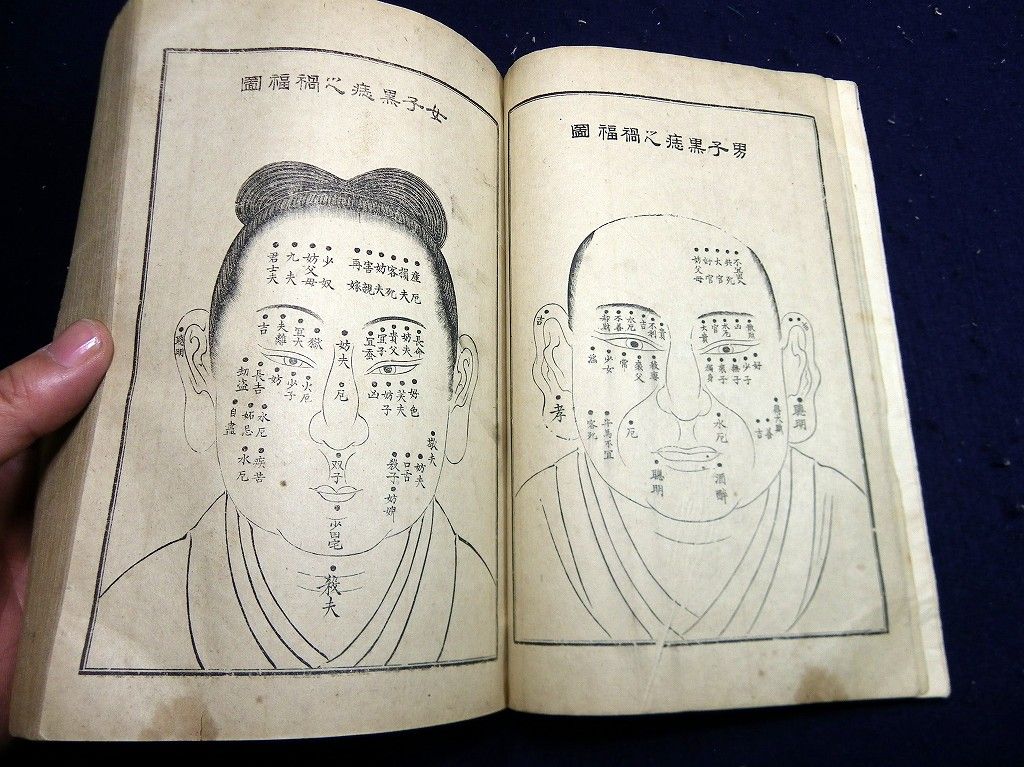 イメージ 4