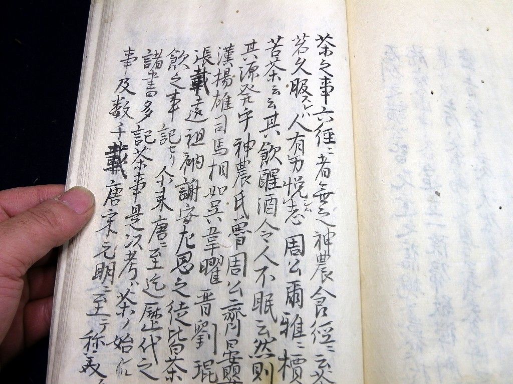 イメージ 12