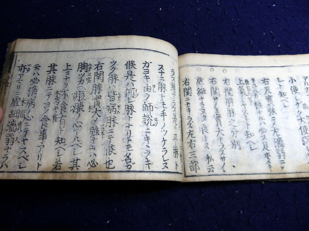 イメージ 7