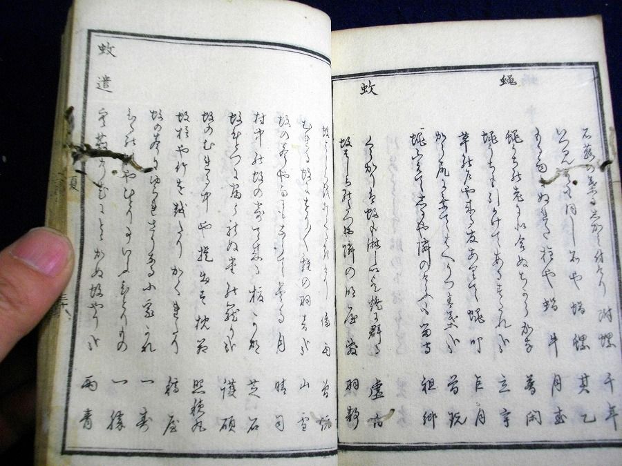 イメージ 5