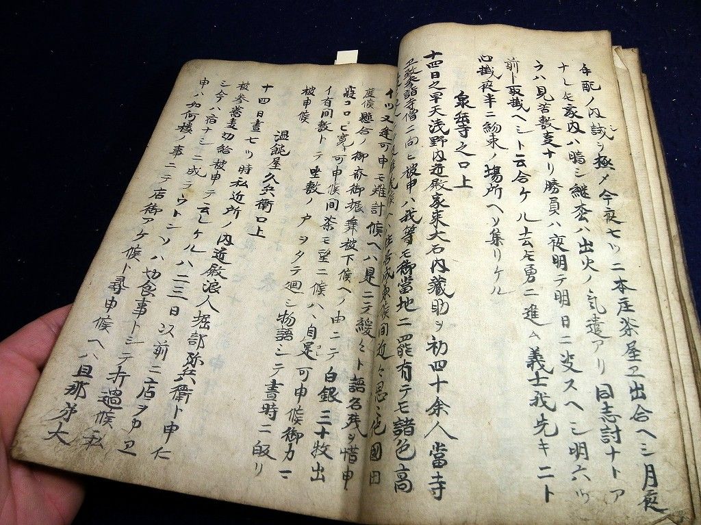 イメージ 6