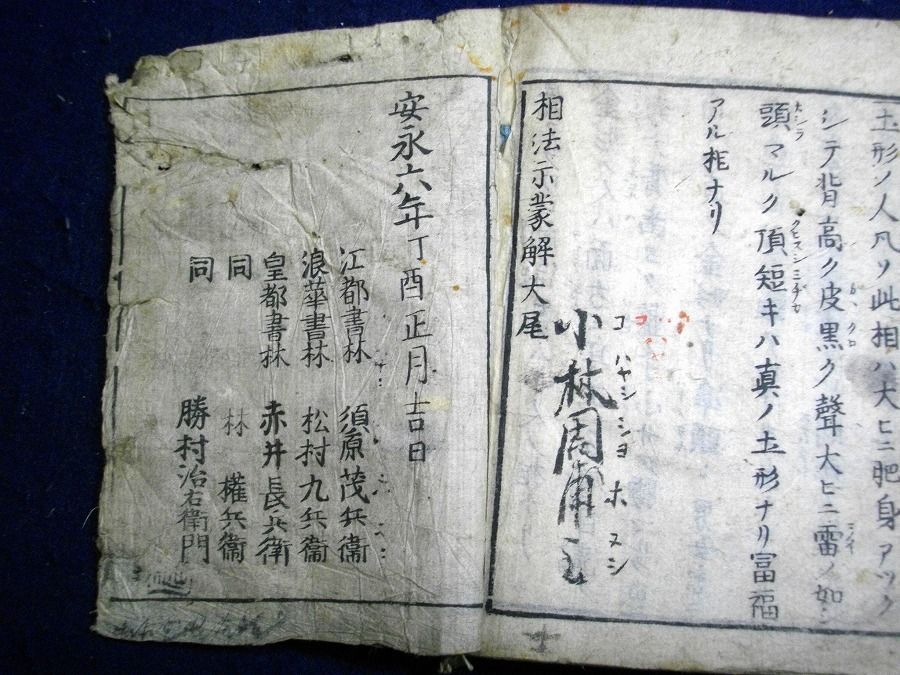 イメージ 10