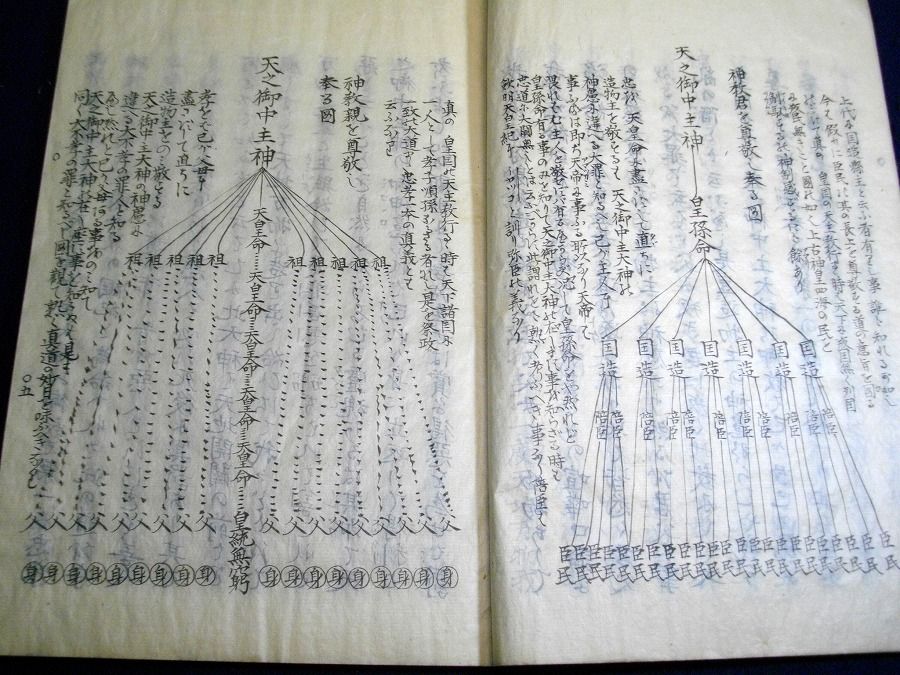 イメージ 6