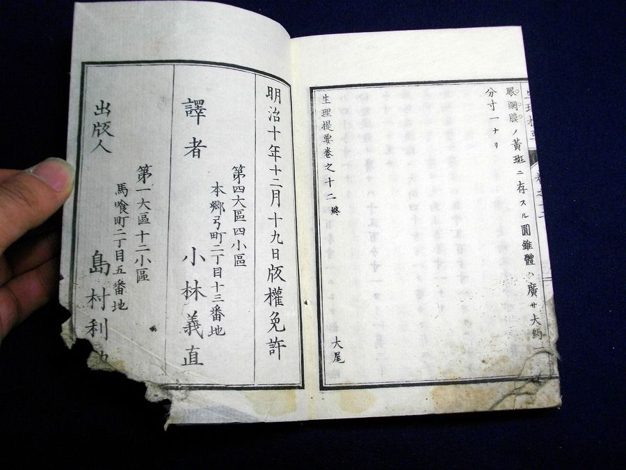 イメージ 4
