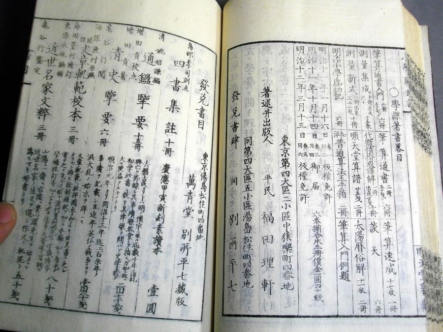 イメージ 5