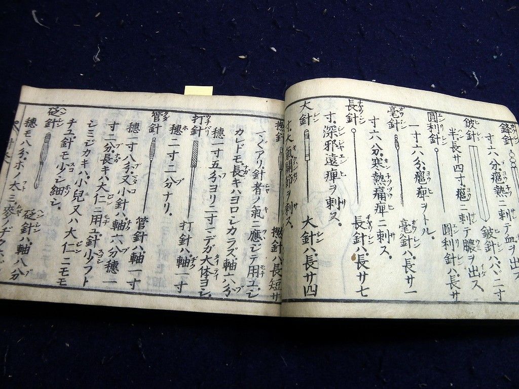 イメージ 8