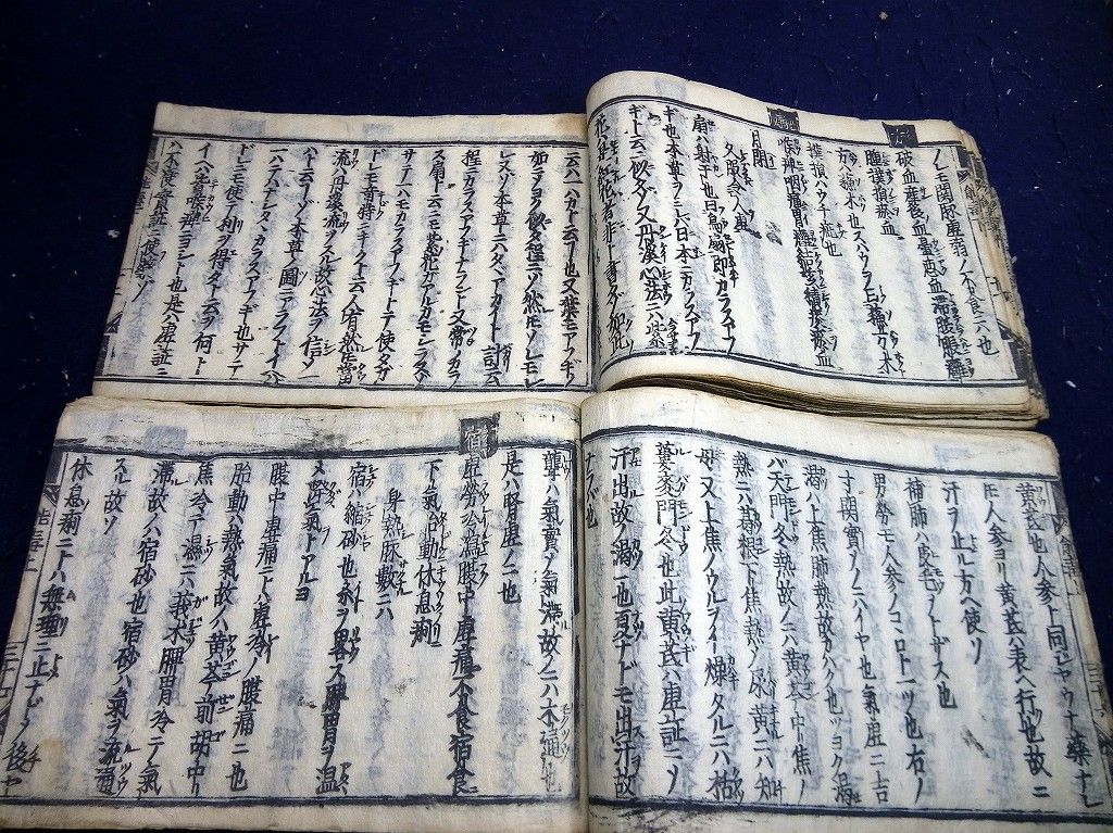 イメージ 6